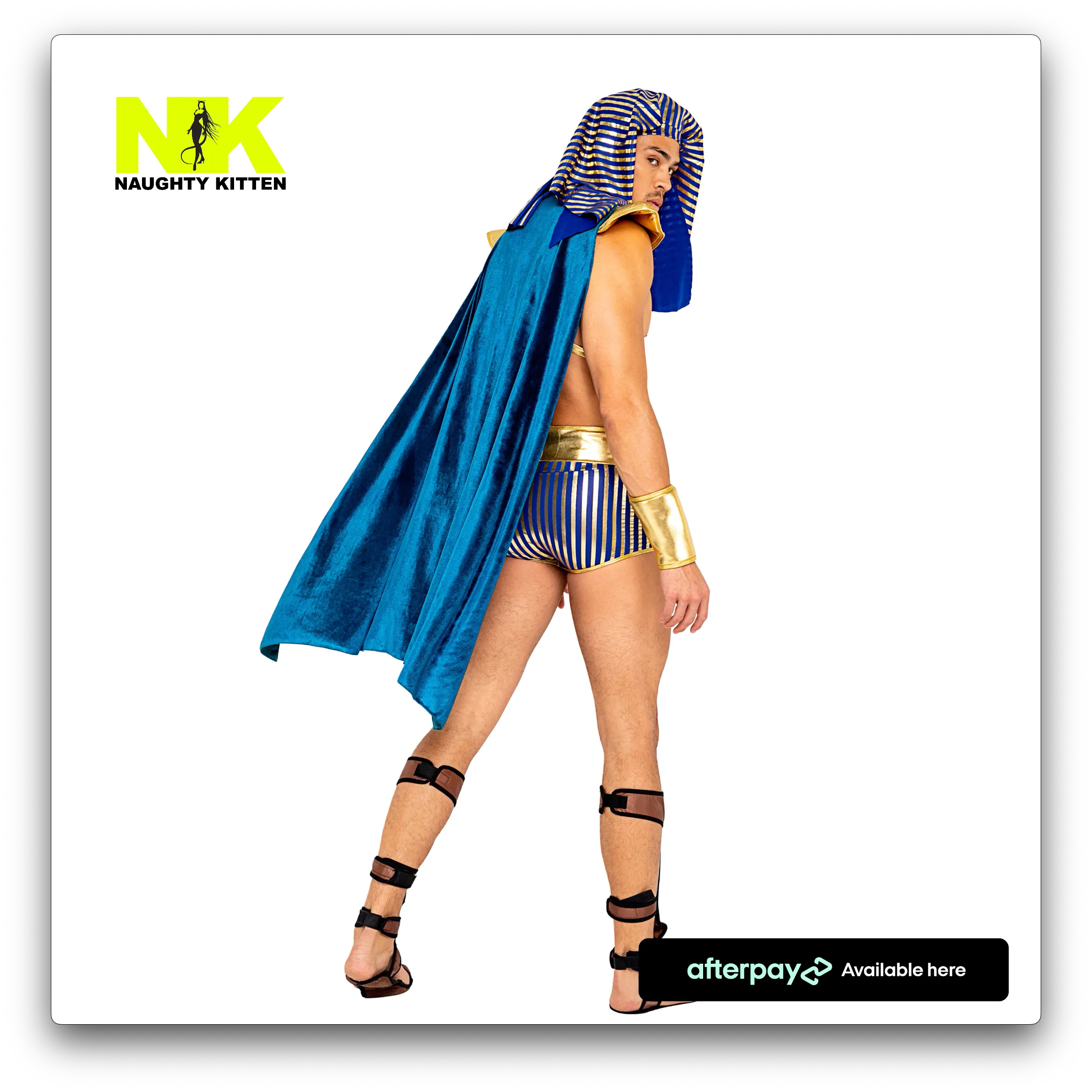 Men's King Pharaoh of Egypt Costume